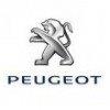 Peugeot dakdrager toepassingen